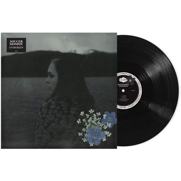 Evergreen - Picture 1 of 1